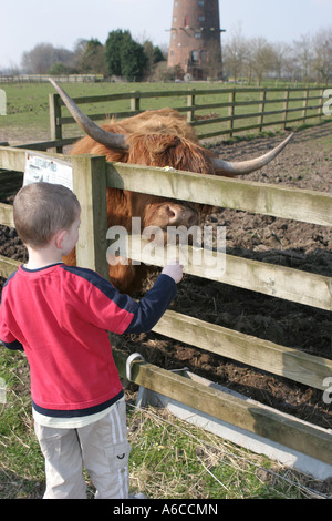 Young boy feeding animals at Windmill farm petting zoo at Burscough, Lancashire, UK. Stock Photo