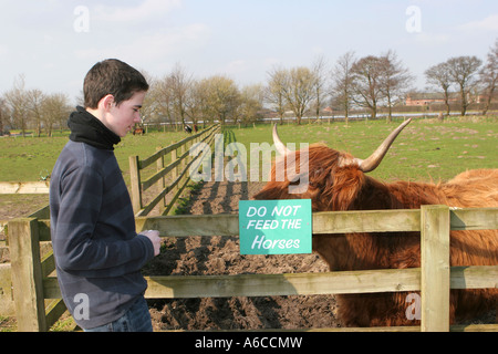 Young boy feeding animals at Windmill farm petting zoo at Burscough, Lancashire, UK. Stock Photo