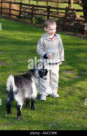 Young boy feeding animals at Windmill farm petting zoo at Burscough, Lancashire, UK. Stock Photo