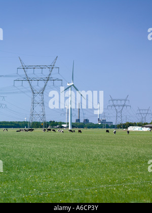 Wind Farm, Electrical Lines, Flevoland, The Netherlands Stock Photo