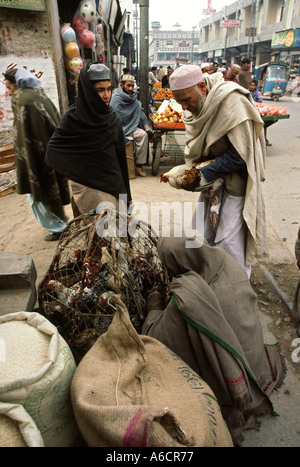 Pakistan Swat Valley Mingora Bazaar man buying live chicken Stock Photo