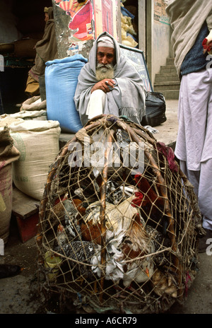 Pakistan Swat Valley Mingora Bazaar man selling live chickens Stock Photo