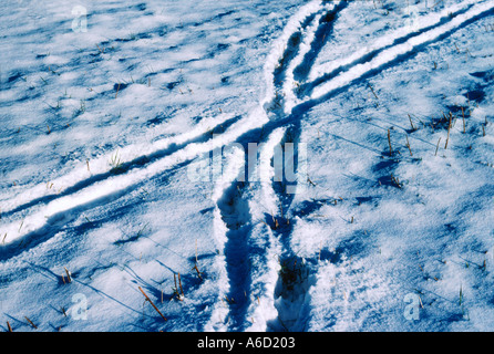 tracks in snow Stock Photo