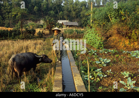 Tin mining operations, Thai Nguyen Province, Vietnam Stock Photo