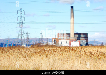 Reed beds at Newport Wetlands National Nature Reserve overlooked by Usk Power Station Newport South East Wales UK Stock Photo