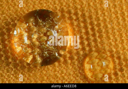 Drops of water on colored denim Stock Photo