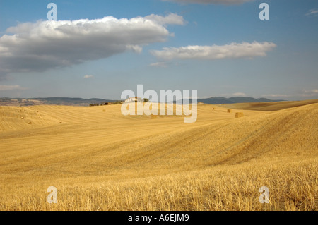 Stubble fields, Val d'Orcia, Tuscany, Italy Stock Photo