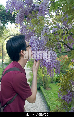 Enjoying Nature, Paris FRANCE, Urban Parks Young ASian Man Smelling Flowers Trees Springtime, BOis de Boulogne, Paris, France Stock Photo