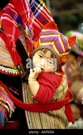 Flower Hmong baby in back carrier, Sunday market, Bac Ha, NW Viet Nam Stock Photo