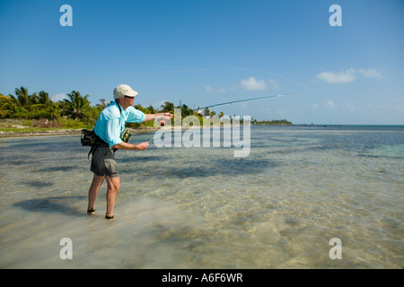 BELIZE Ambergris Caye Adult male fly fishing in flats along shoreline for bonefish cast with left hand hold rod and reel Stock Photo