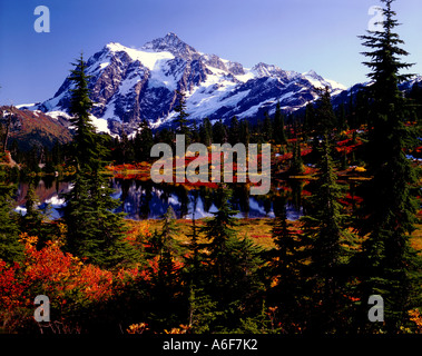 Beautiful Mount Shuksan rises above Picture Lake in Washington which reflects the bright red autumn colors of trees and bushes Stock Photo