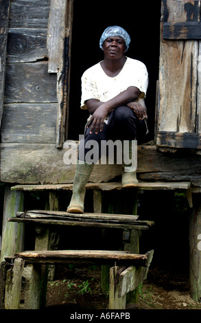 Maria Porter fairtrade farmer St Vincent Stock Photo