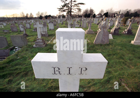 Grave, A white cross in a graveyard showing the letters R I P Stock Photo