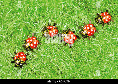 chocolate ladybugs ladybirds in a row Marienkäfer aus Schokolade in einer Reihe im Gras Stock Photo