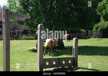 Minstead green New Forest Hampshire England Stock Photo