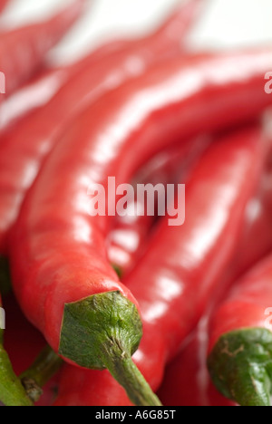 Red Chile Peppers Capsicum Annum Stock Photo
