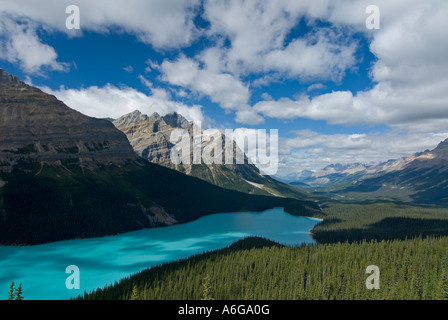 View of the wooded shoreline of Peyto Lake and Mistaya Valley with Mount Patterson in the background, Waputik Mountains, Banff Stock Photo