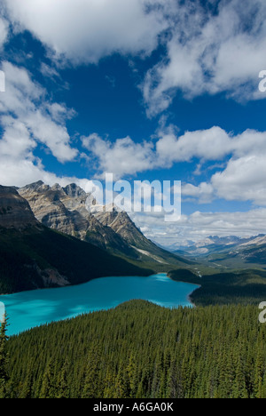 View of the wooded shoreline of Peyto Lake and Bow Valley with Mount Patterson in the background, Waputik Mountains, Banff Nati Stock Photo