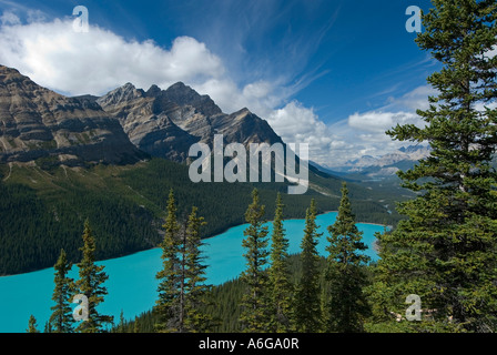 View of the wooded shoreline of Peyto Lake and Bow Valley with Mount Patterson in the background, Waputik Mountains, Banff Nati Stock Photo
