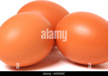 Close up of Three Brown hens eggs on white background Stock Photo