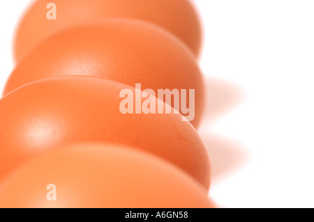 Close up of Row of fresh Brown Hens Eggs on white background Stock Photo