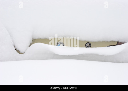 Snow covered BMW logo Stock Photo - Alamy