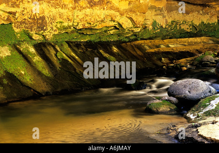 'Mamie Creek in Death Hollow, Escalante, Utah, USA' Stock Photo