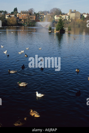 The Mere At Diss In Norfolk Uk Stock Photo