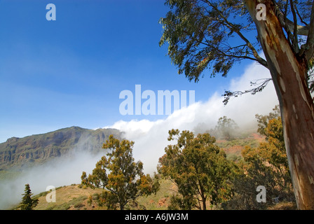GRAN CANARIA TEJEDA mountains with rolling mist in the center of Gran Canaria Canary Islands Spain Stock Photo