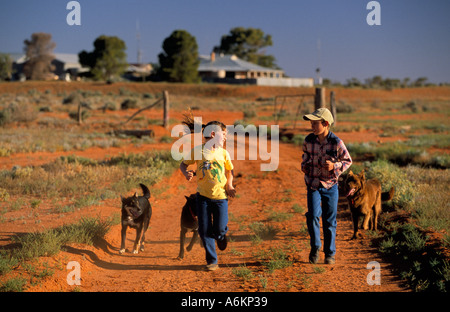 Farm children and dogs, outback Australi, Stock Photo
