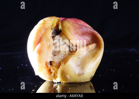 A ROTTING PEACH NECTARINE IN VARIOUS STAGES OF DECAY BAPD1125 Stock Photo