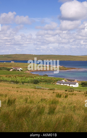 dh Remote cottages HOY ORKNEY Grassy fields spike rush sedge houses scotland cottage coast uk get away isolation faraway country
