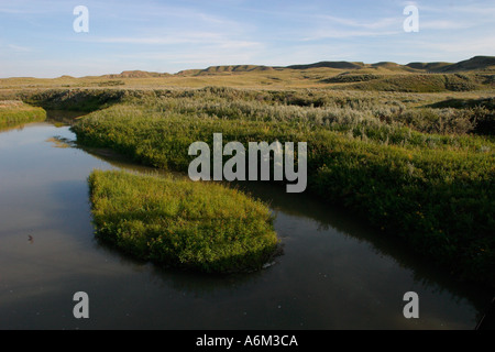 The scenic Wood River of South Saskatchewan in Western Canada Stock Photo