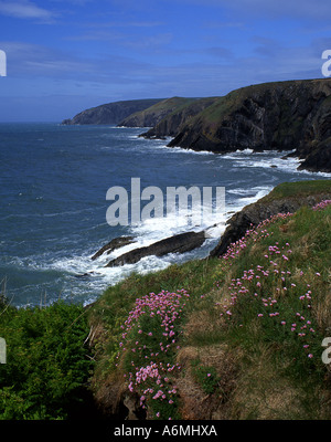 Ceibwr Bay Near Moylegrove Rocky wild coastal scenery with stormy sea Pembrokeshire West Wales UK Stock Photo