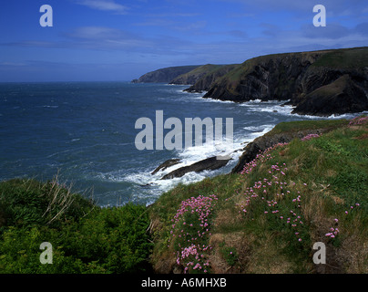 Ceibwr Bay Near Moylegrove Rocky wild coastal scenery with stormy sea West Wales UK Stock Photo