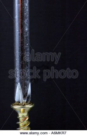 Closeup of a black spiral threaded screws for sheetrock or drywall with ...