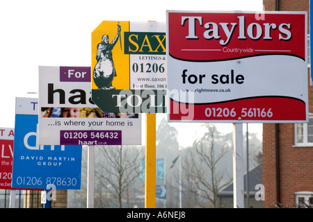 rows of for sale and rent signs in Colchester Essex outside a block of flats Stock Photo