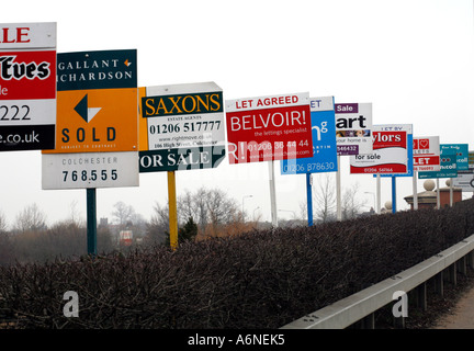 rows of for sale and rent signs in Colchester Essex ouTside a block of flats Stock Photo