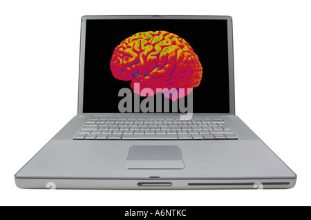 LAP TOP NOTE BOOK COMPUTER DISPLAYING IMAGE OF HUMAN BRAIN ON SCREEN Stock Photo