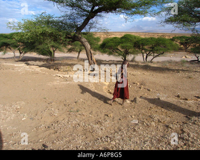 Malambo district in the Ngorongoro Crater of Tanzania. Collecting firewood Stock Photo