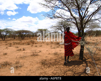 Malambo district in the Ngorongoro Crater of Tanzania, Africa. Stock Photo