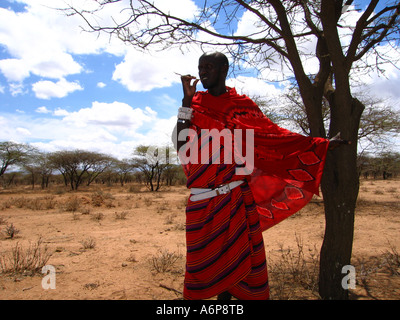 Malambo district in the Ngorongoro Crater of Tanzania, Africa. Stock Photo