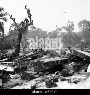 DEVASTATION AFTER THE TIDAL WAVE OF THE TSUNAMI HIT THE KALMUNAI DISTRICT, AMPARA IN SRI LANKA JANUARY 2005 Stock Photo