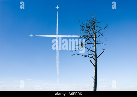 dead pine tree in Germany and condensation trails in shape of a cross meaning one can bury nature in Europe Stock Photo