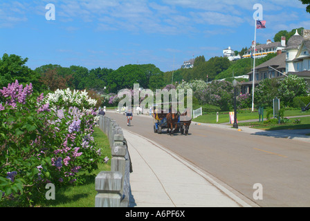 USA Michigan Mackinac Island Lake Huron horses and carriages horse Stock Photo