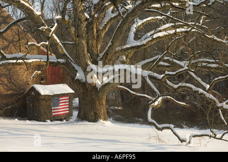 American Flag On A Barn With A Brown Horse Standing In Front Of It