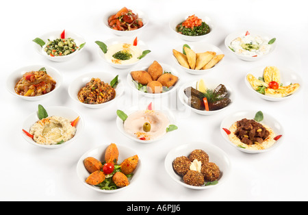 A SELECTION OF TURKISH HOT AND COLD MEZE PLATES ON A WHITE BACKGROUND WITH SHADOW