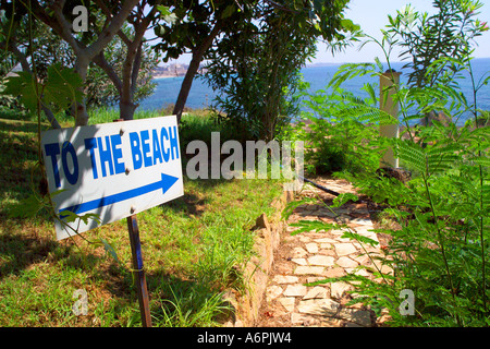 COBBLED PATHWAY THROUGH THE TREES LEADING TO THE BEACH WITH A SIGN POINTING 'TO THE BEACH' Stock Photo