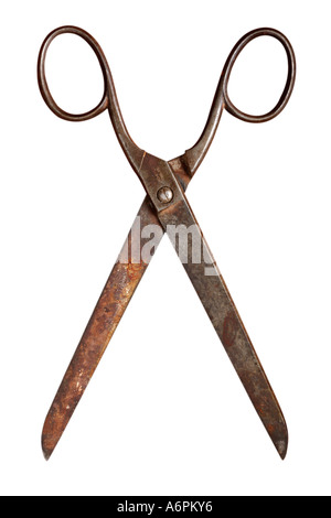 DECORATORS SCISSORS CUT OUT ON WHITE BACKGROUND Stock Photo