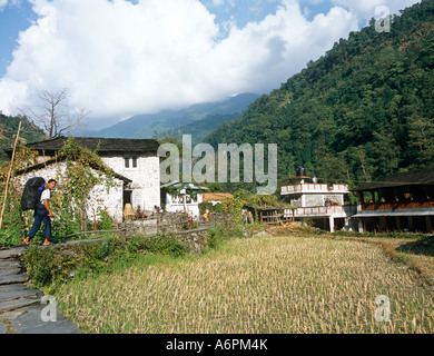 Trekking In The Foothills Of The Annapurna Himalayas Nepal Asia Stock Photo